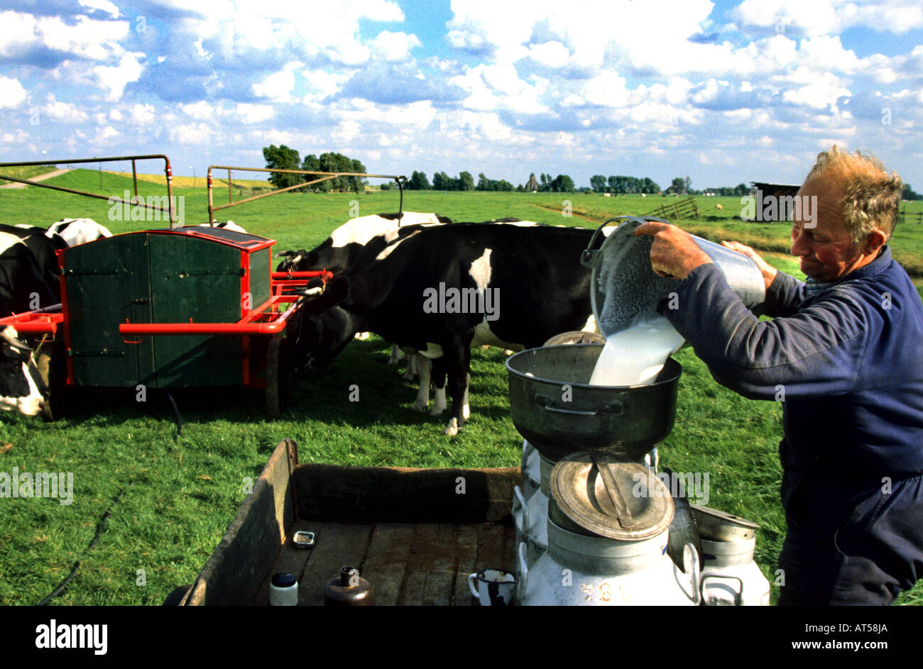 Niederlande Milchviehbetrieb Milchkanne Eimer kann Kühe Melkmaschine Kuh Stockfoto