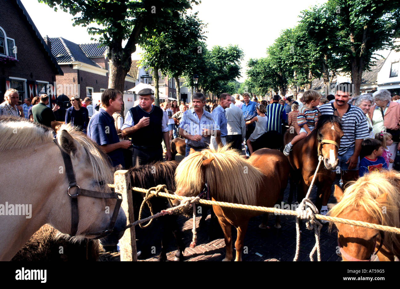 Niederlande Holland Pferdemarkt Pferde Voorschoten Stockfotografie - Alamy