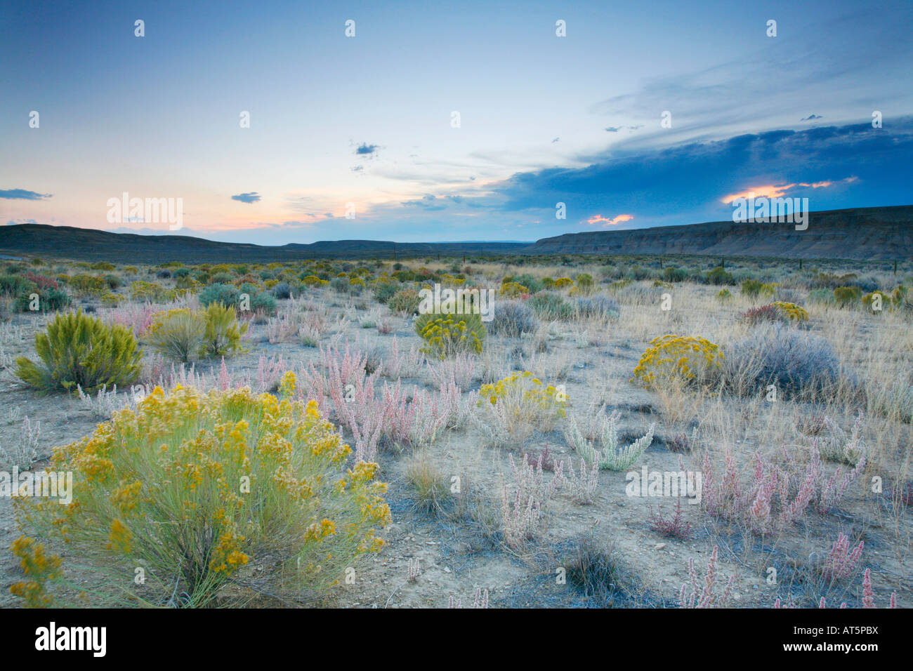 Flaming Gorge National Recreation Area Utah Wyoming Stockfoto