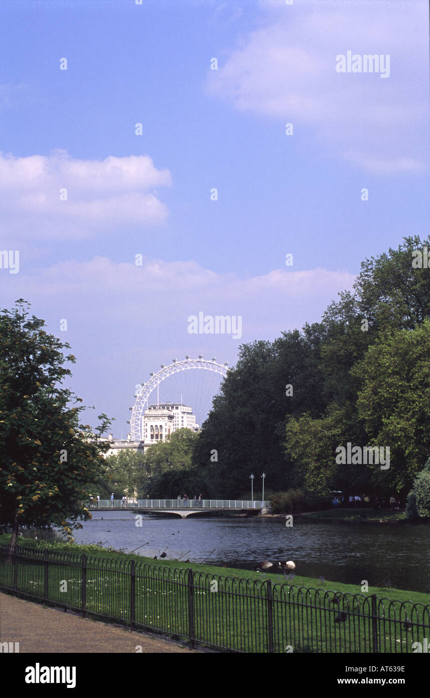Das London Eye, gebaut für die Millenniums-Feierlichkeiten von St. James Park London England UK gesehen Stockfoto