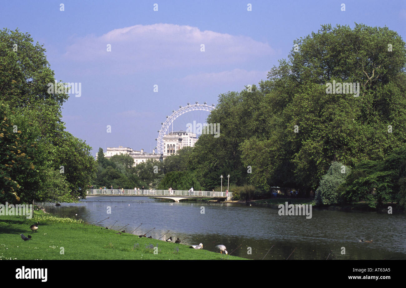 Das London Eye, gebaut für die Millenniums-Feierlichkeiten von St. James s Park London England UK gesehen Stockfoto