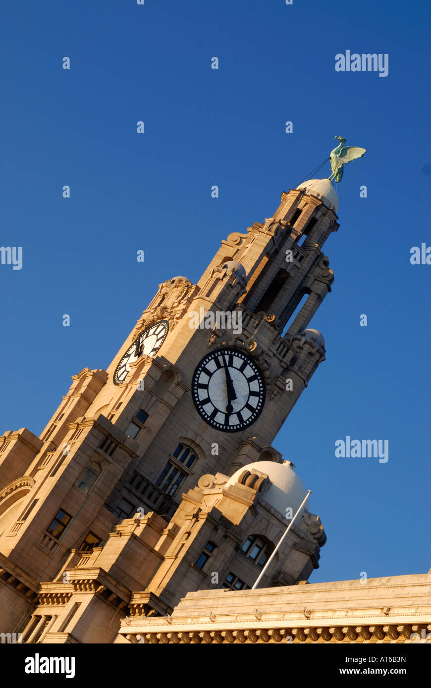 Liverbird auf der Royal Liver Assurance Building befindet sich am Pier Head in Liverpool - Kulturhauptstadt Europas 2008 Stockfoto