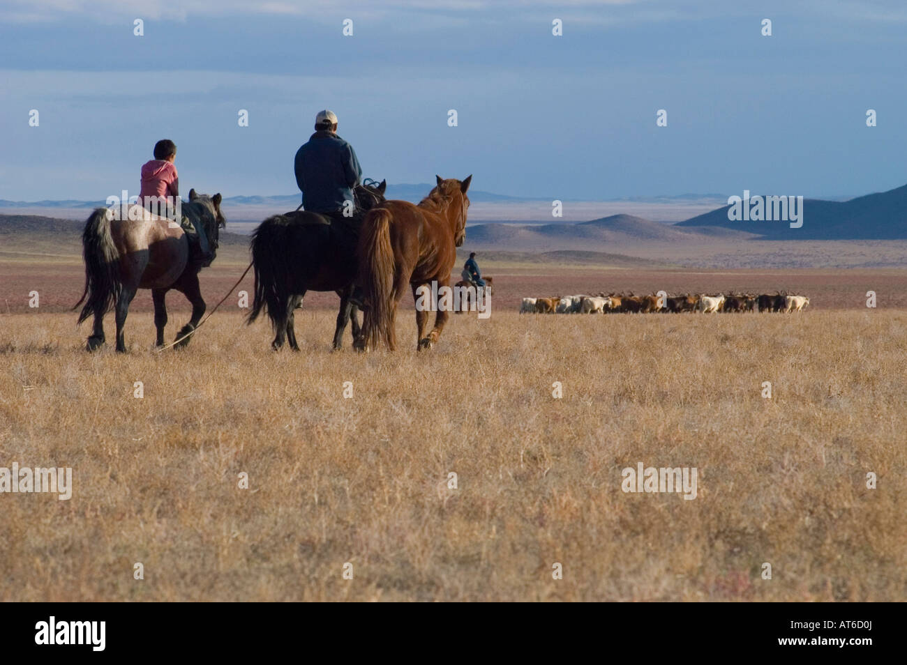 Herding Schönheit Landschaft blauer Himmel Tourismus exotisches Reiseziel Kultur Nomad Mongolei mongolischen Steppe Cowboy Remotestandort öffnen Stockfoto