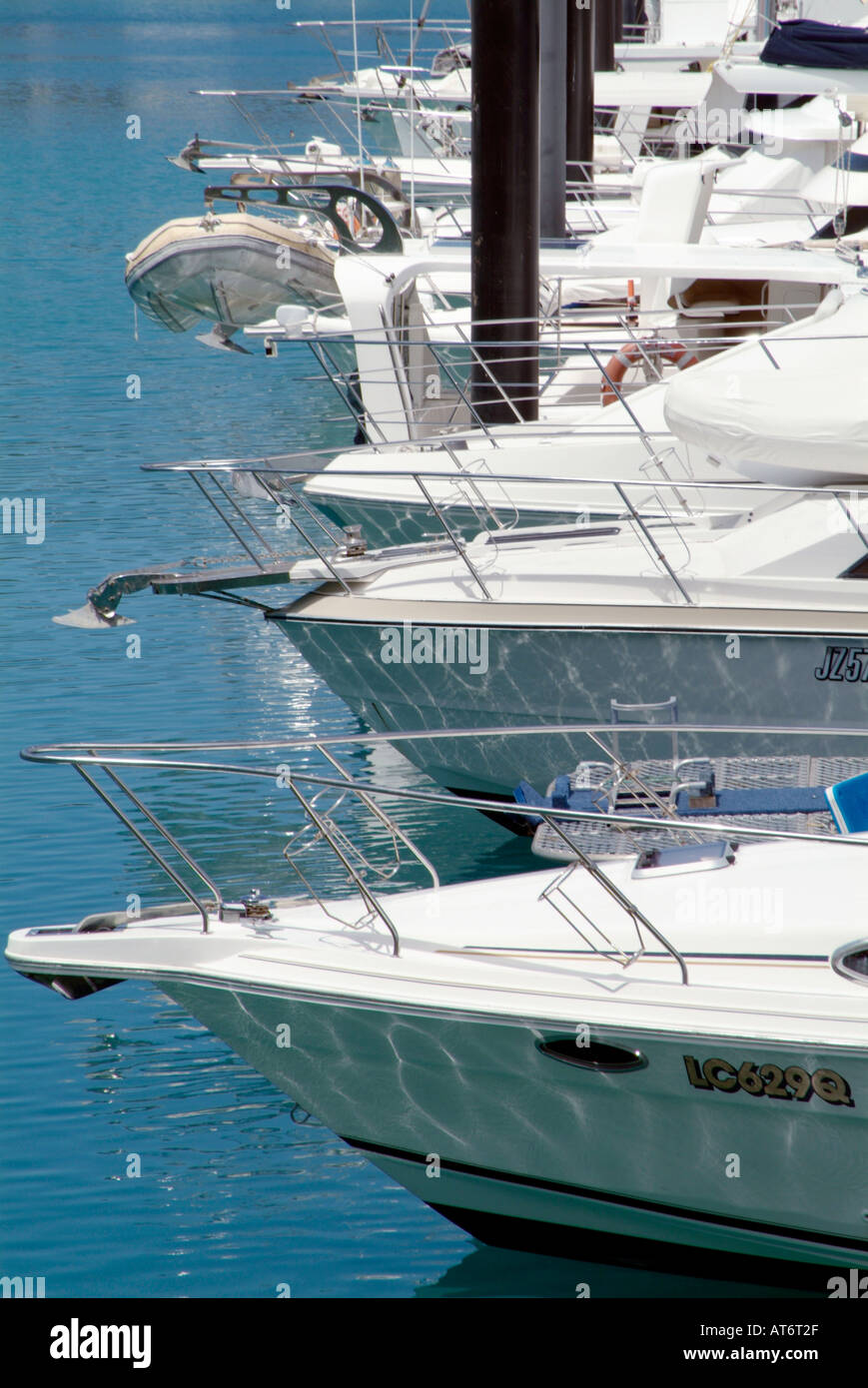 Marina-Boot-Yacht-Meer-Wasser-Playboy entspannen Airlee Beach Queensland Proserpina Airlee Strand Boot Schiff Marina Yacht Himmelblau tropic Stockfoto