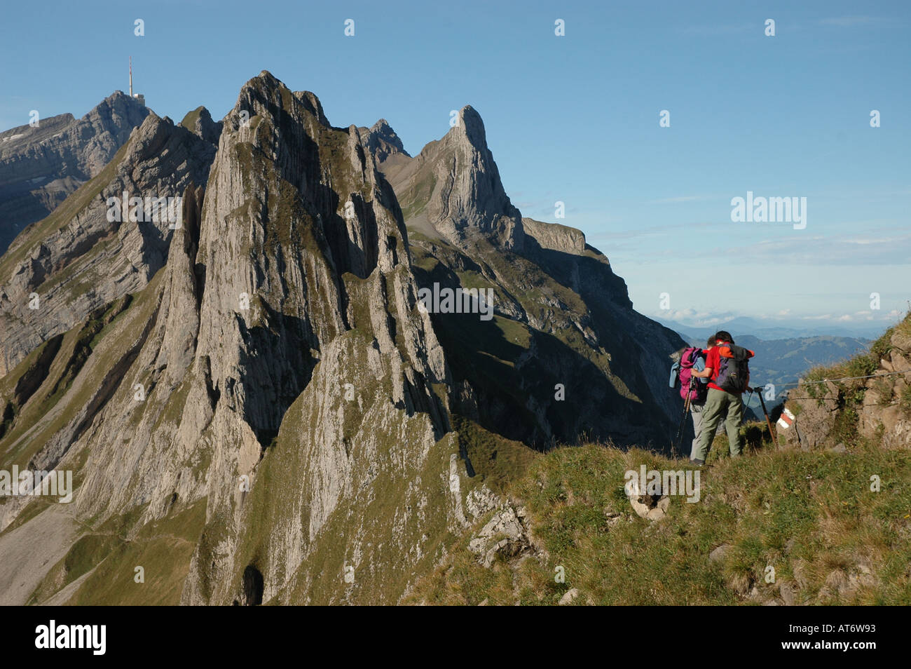 Wanderer auf Berg Säntis bei Schaefler Kanton Appenzell Schweiz Stockfoto