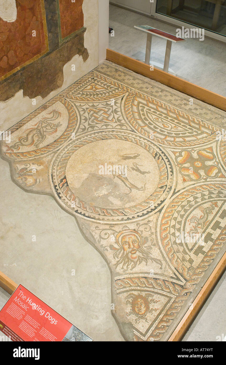 Die Jagd Hunde römisches Mosaik im Musée Britanniens in Cirencester, Gloucestershire, UK Stockfoto