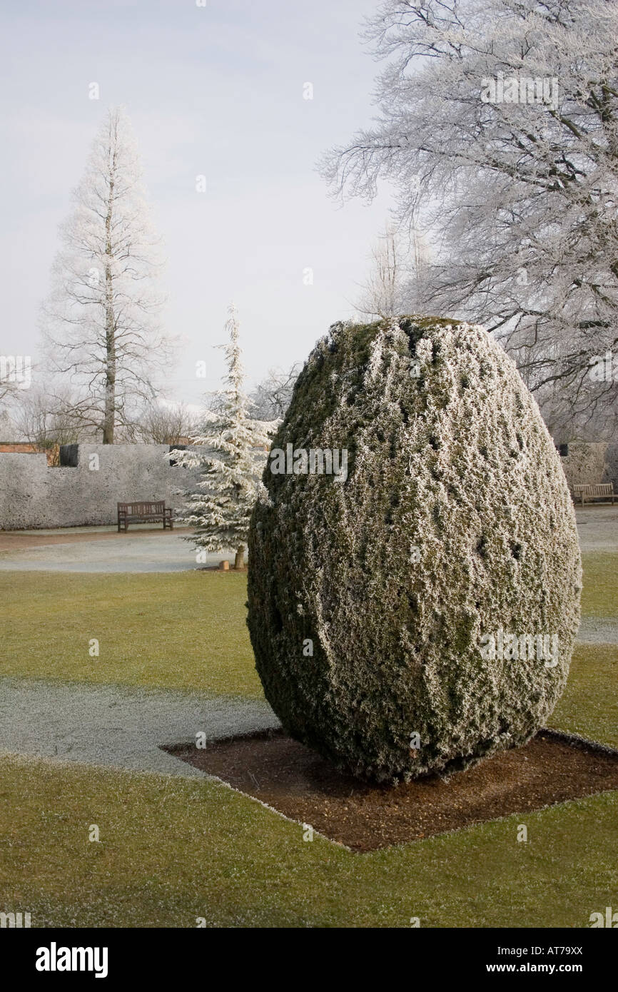 Eibe garten winter -Fotos und -Bildmaterial in hoher Auflsung  Alamy