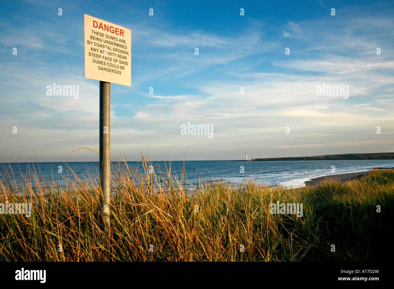 Ein Warnzeichen der Küstenerosion am Strand von Montrose mit dem Leuchtturm im Hintergrund. Stockfoto