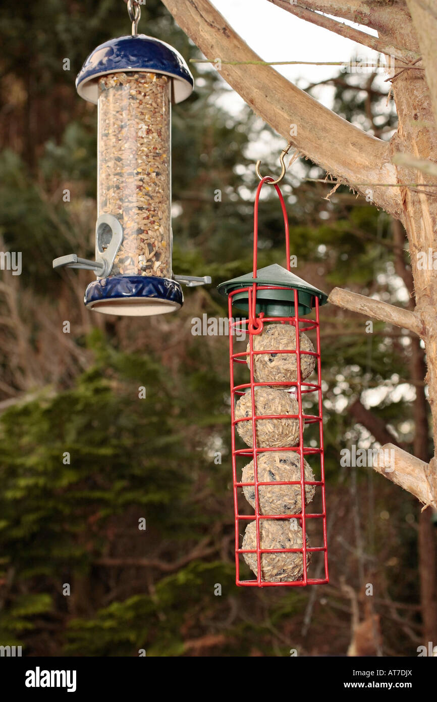 Futterhäuschen im Garten Stockfoto