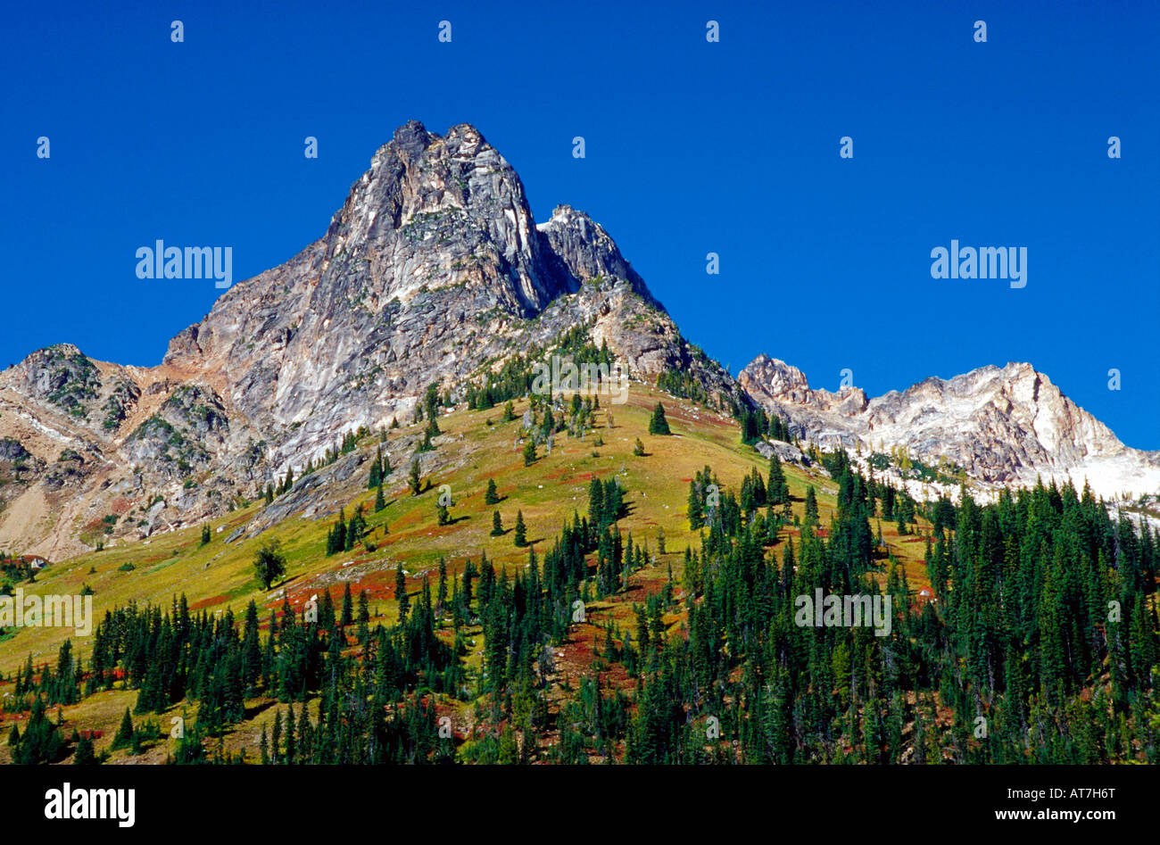 North Cascade Mountains, Washington Stockfoto