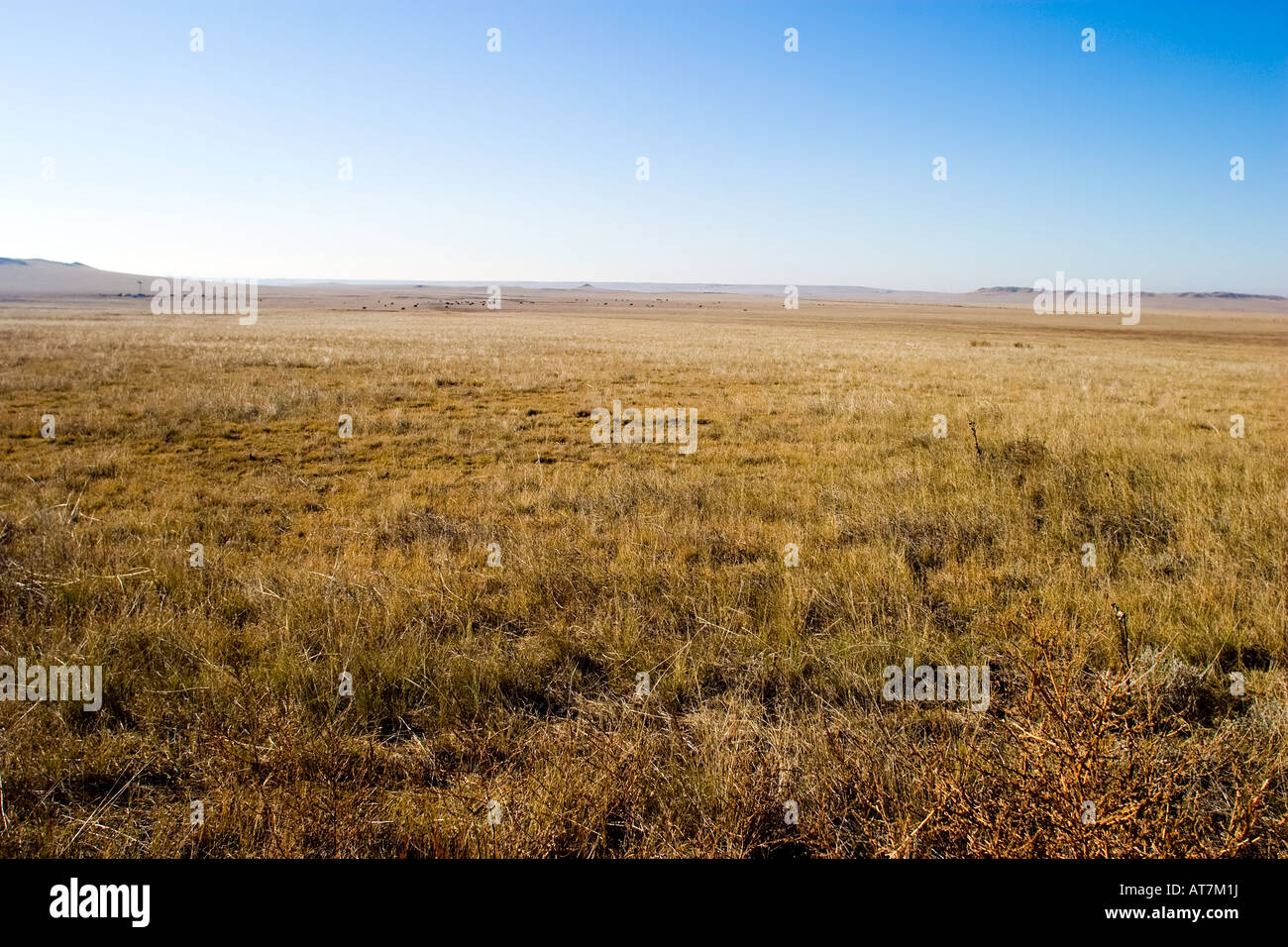 Die weiten Ebenen des östlichen Colorado sind noch nicht an diesem sonnigen Herbst morgen lebendig werden. Stockfoto