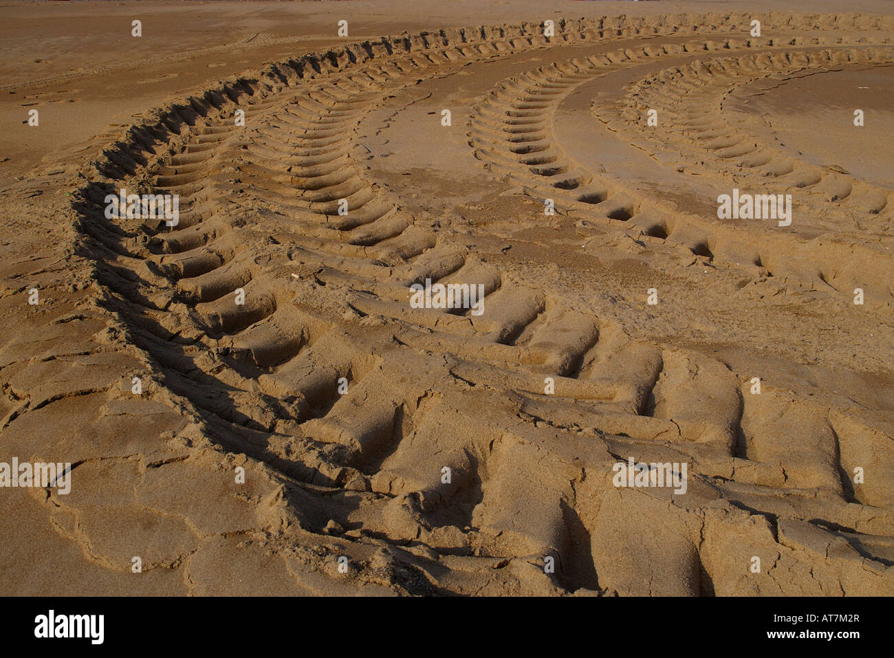 Rad-Schiene am Sandstrand Stockfoto