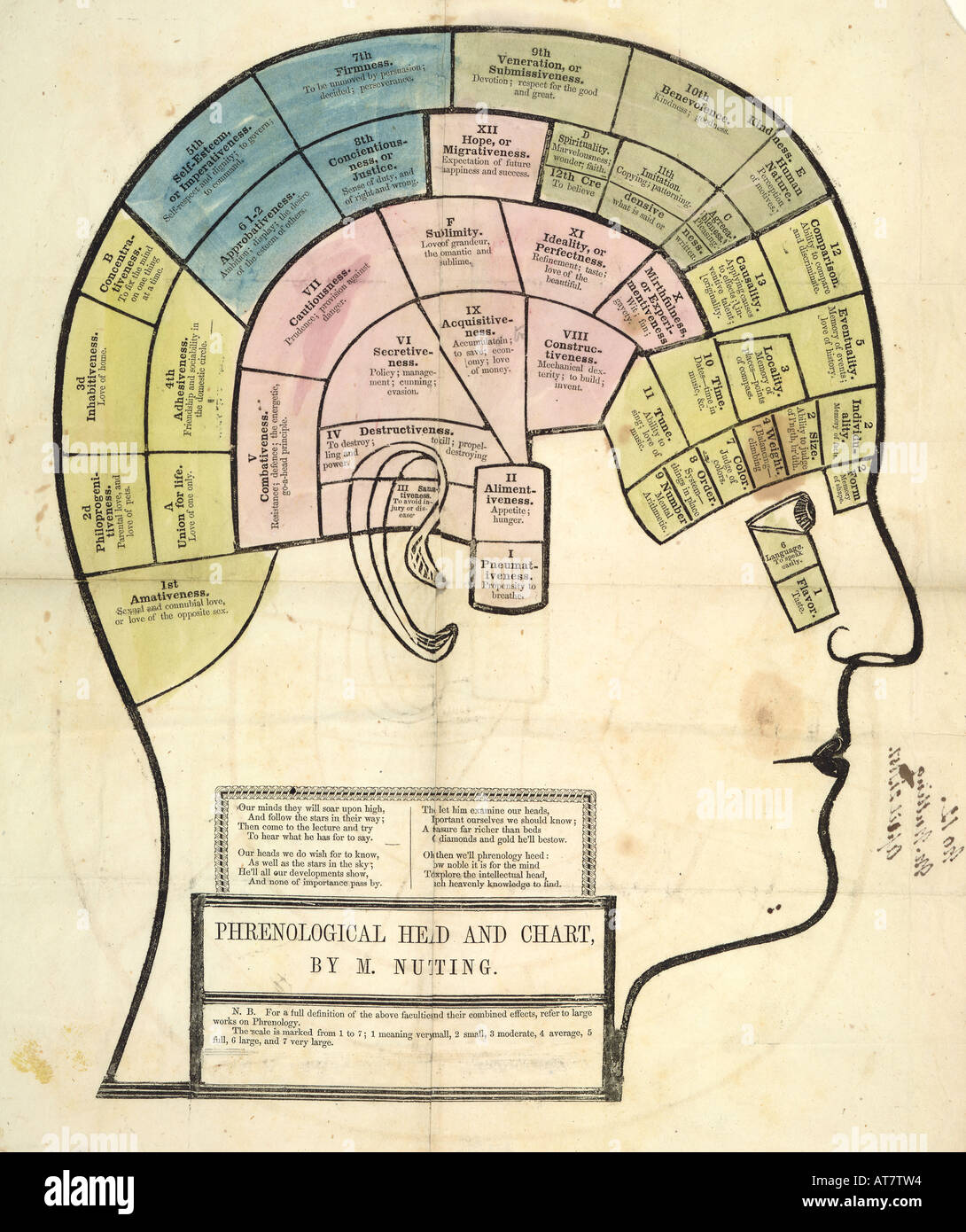 Antike Darstellung der Regionen des Gehirns und der Phrenologie. Stockfoto