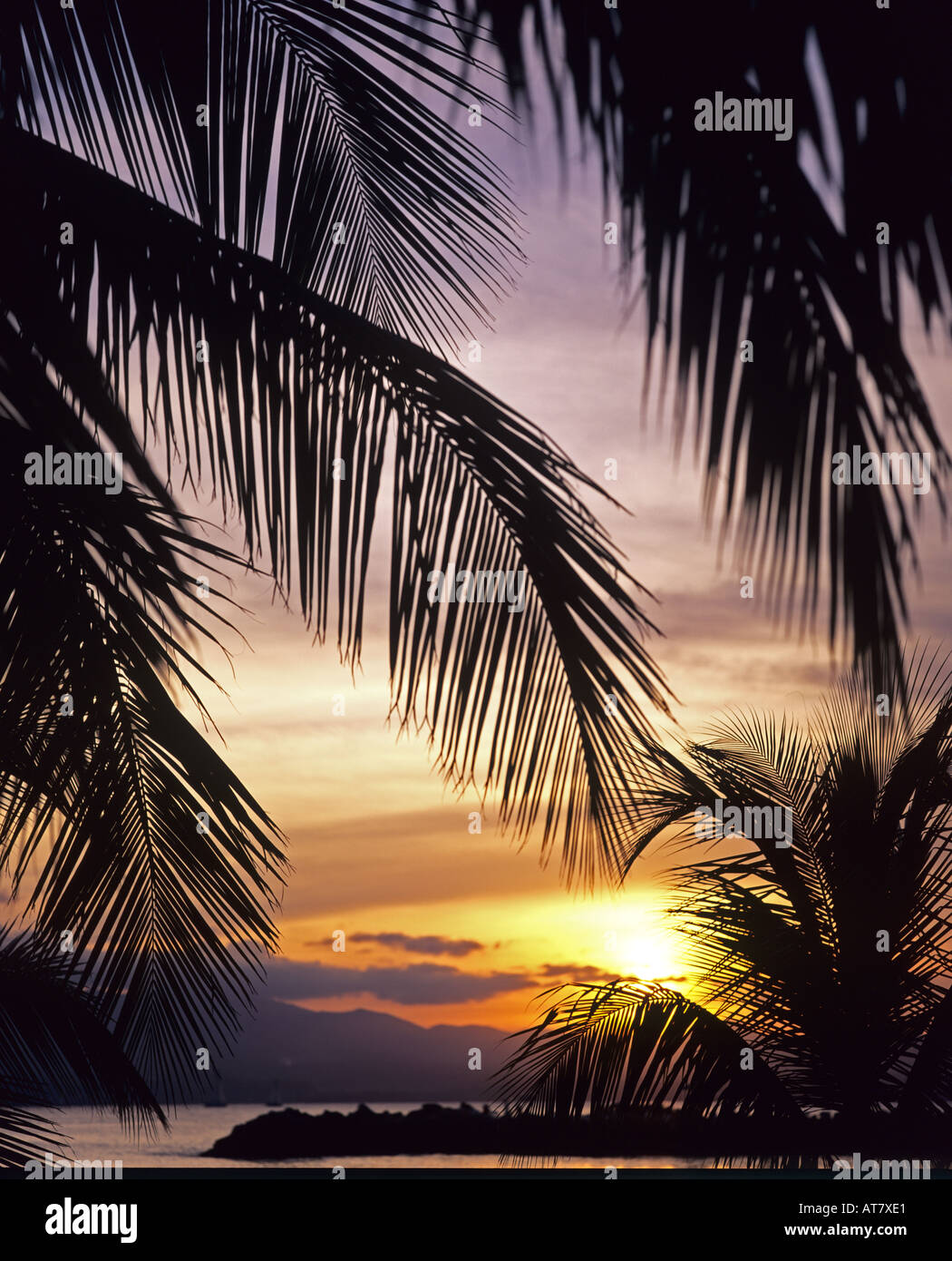 Palmen und karibischen Meer bei Sonnenuntergang, Guadeloupe, Französisch-Westindien Stockfoto