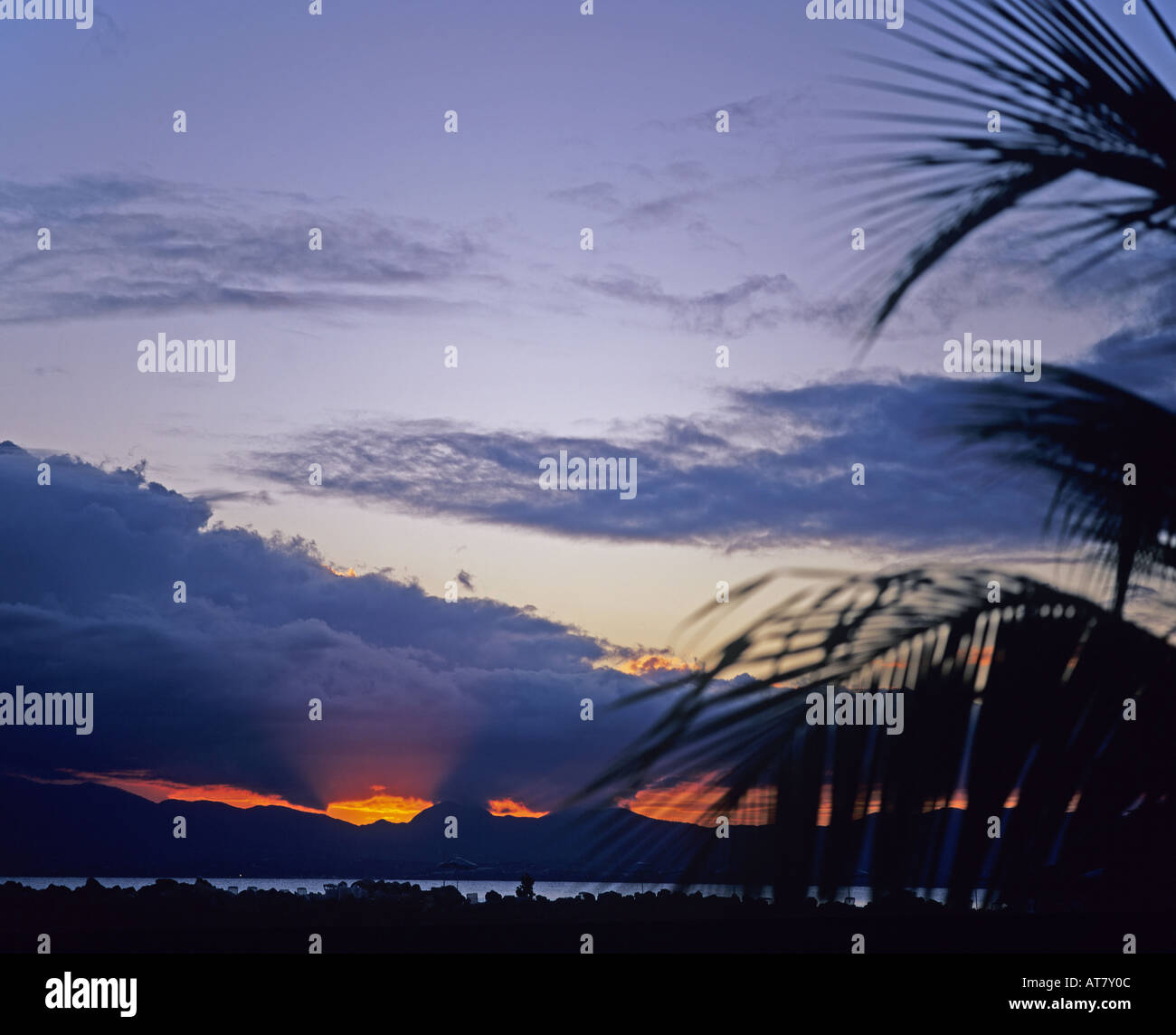 Palmen Sie und Wolken am Basse-Terre nach Sonnenuntergang, Guadeloupe, Französisch-Westindien Stockfoto