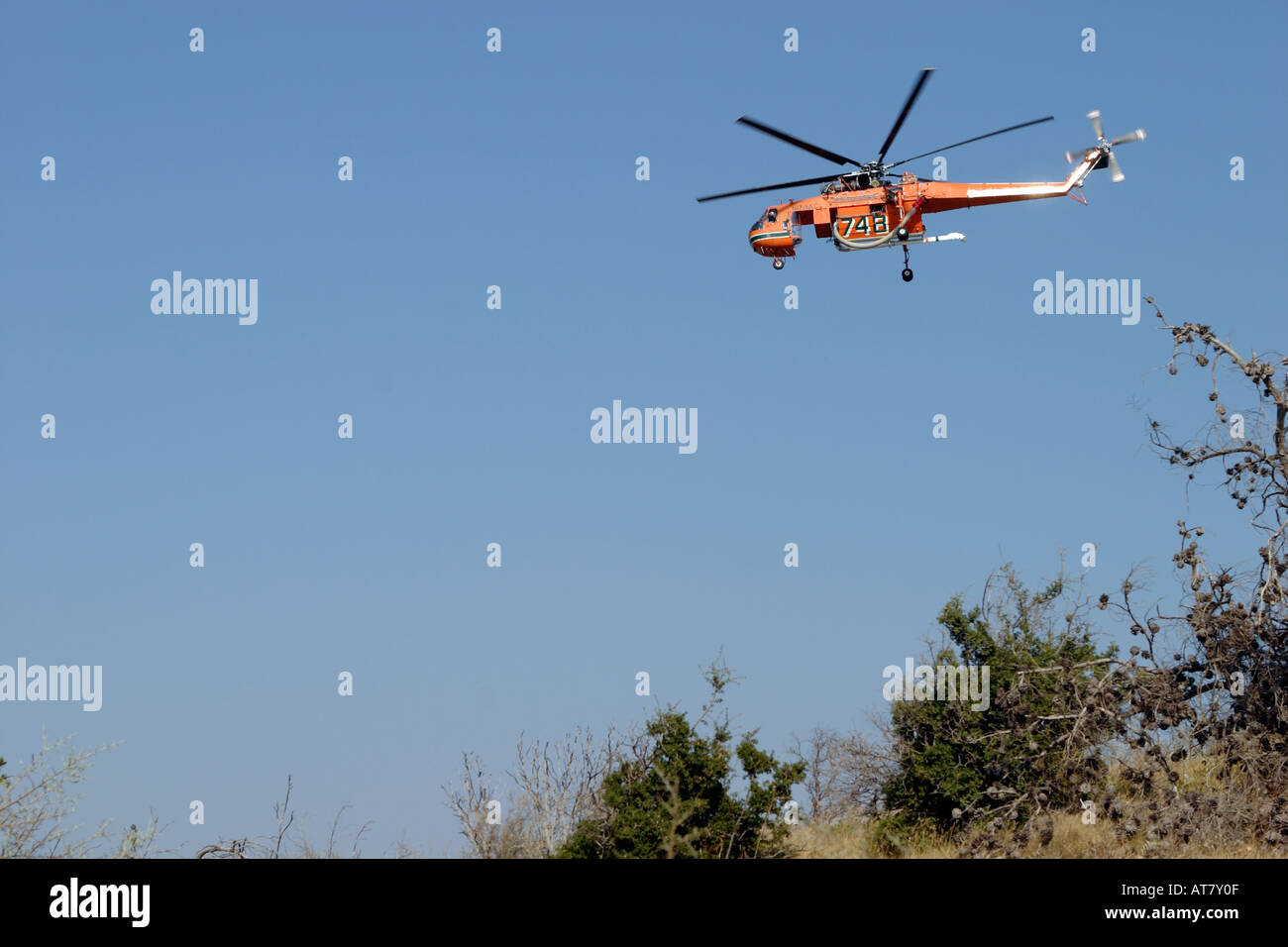 Erickson Air Crane Feuer Dienst Hubschrauber schwebt über einem Waldbrand in einem Vorort von Athen Stockfoto