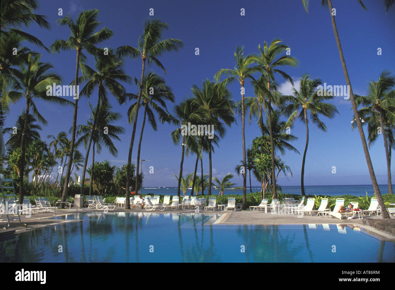 Palmen umgeben den Oceanside Pool im Hale Koa Hotel in Waikiki, ein Hotel für aktive und pensionierte Militärs. Stockfoto