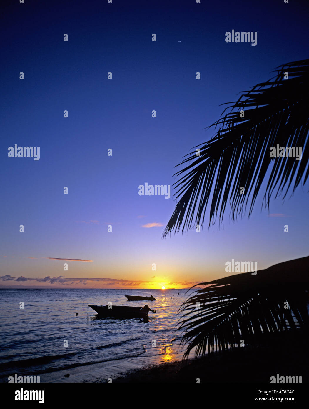 Angelboote/Fischerboote und Palmen mit Sonnenuntergang Karibik, Marie-Galante Insel Guadeloupe, Französisch-Westindien Stockfoto