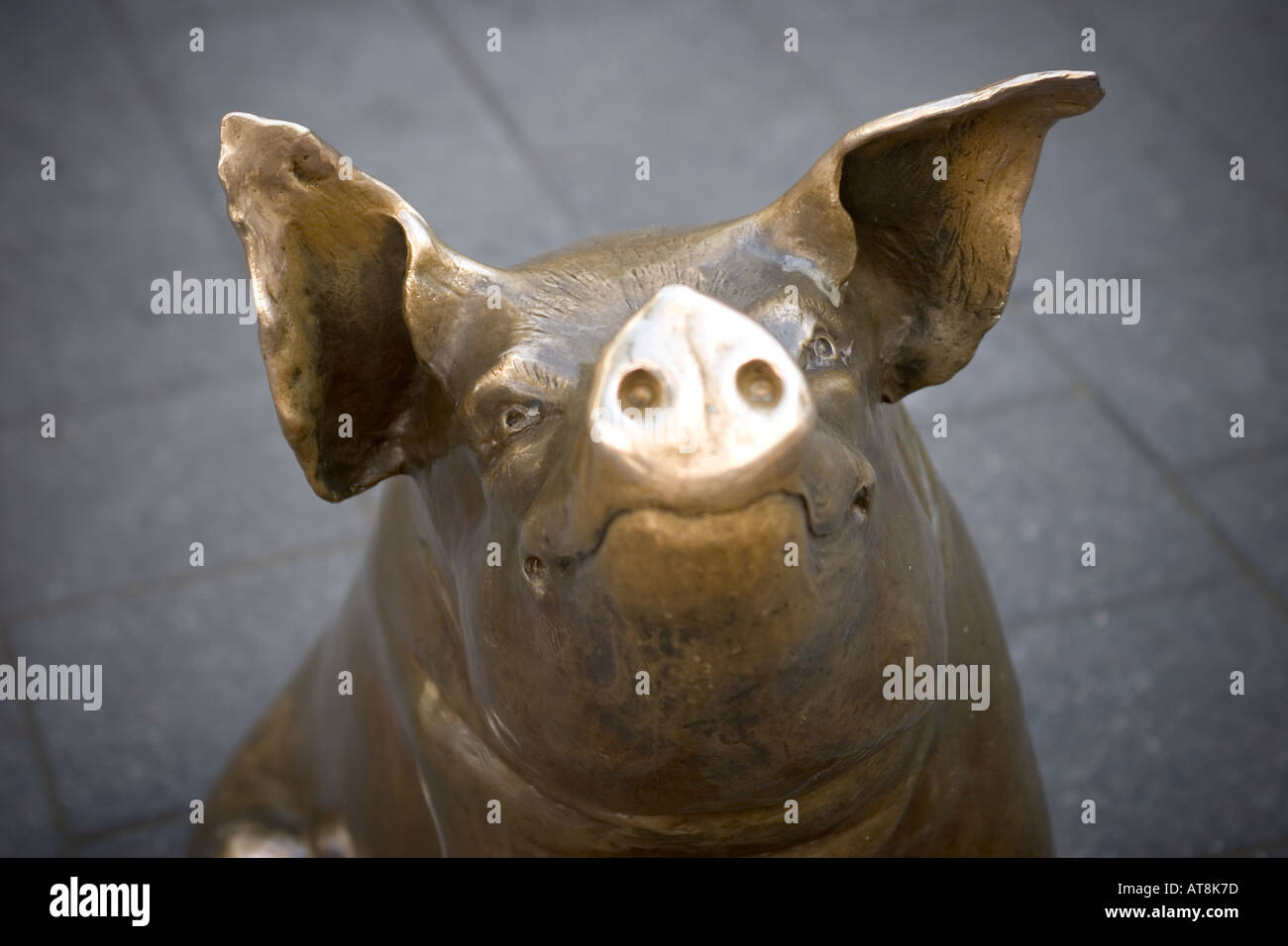 Schwein Skulptur Rundle Mall Adelaide Australien Stockfoto
