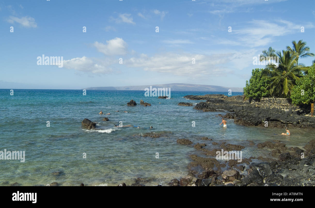 Touristen genießen Sie Schnorcheln in den flachen Korallen Betten der Ahihi Bucht auf Küste von West Maui Makena. Stockfoto