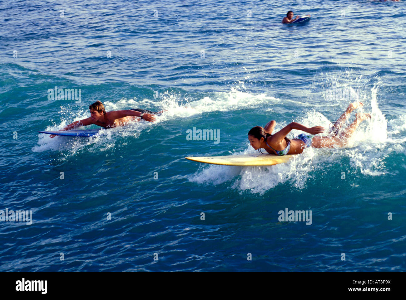 Zwei Teen Surfer paddeln munter in den klaren, blauen Ozean bei ihrer Vorbereitung auf eine Welle vor Waikiki Beach zu fangen. Stockfoto