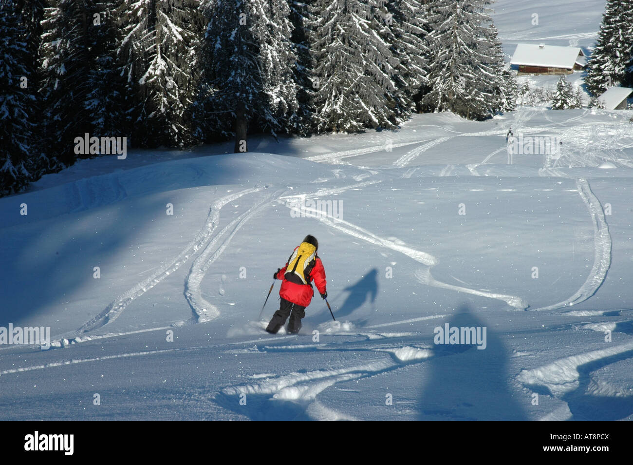 Skifahrer im frischen Pulverschnee über Rossberg, Simmental oder Simmen Tal, Berner Alpen, Schweiz Stockfoto