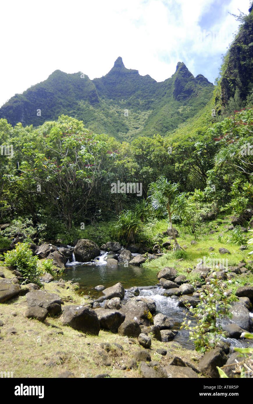kleiner ruhiger Teich liegt inmitten von Felsen und üppige grüne Laub Limahuli Gardens auf Kauai majestätischen North Shore. Einer der Stockfoto
