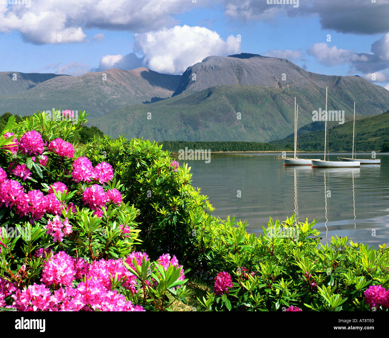 GB - Schottland: Loch Linnhe und Ben Nevis Stockfoto