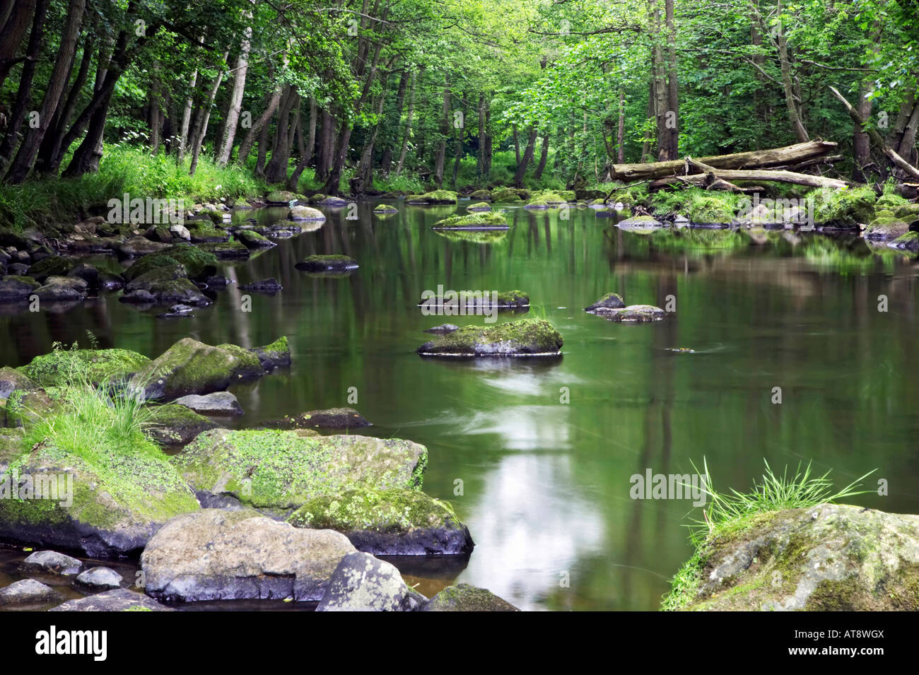 Ein ruhiger Küstenabschnitt der Esk River in der Nähe von Egton Brücke und Glaisdale in das Urstromtal der Esk. North Yorkshire Moors Nationalpark Stockfoto