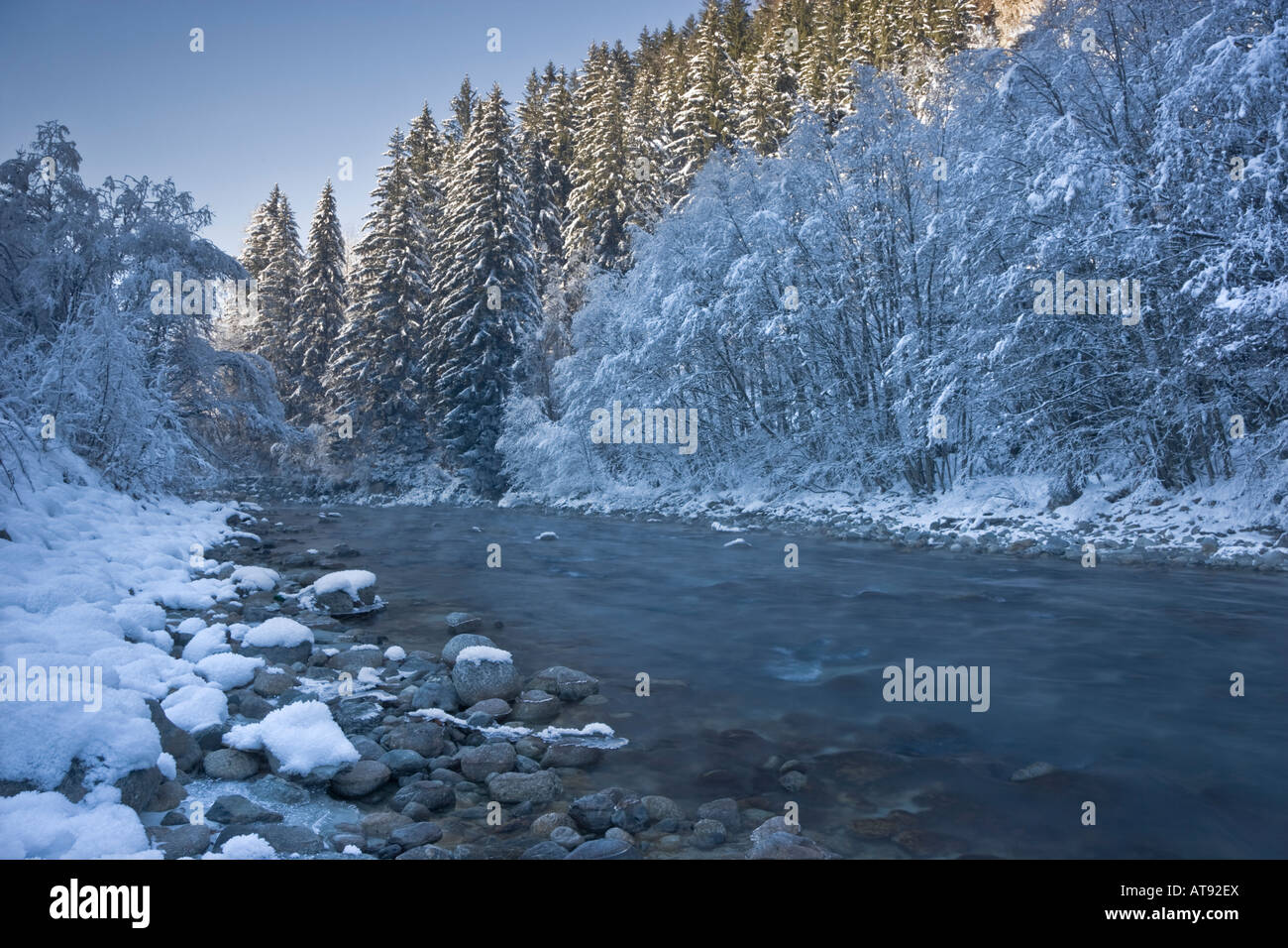 Knackig, Winter Szene der Fließgewässer und Kiefern über den Fluss Arve, Chamonix, Frankreich Stockfoto