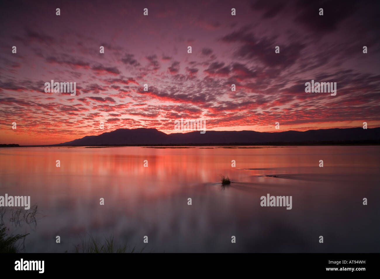 Atemberaubenden Sonnenuntergang über Mana Pools Nationalpark, Simbabwe Stockfoto