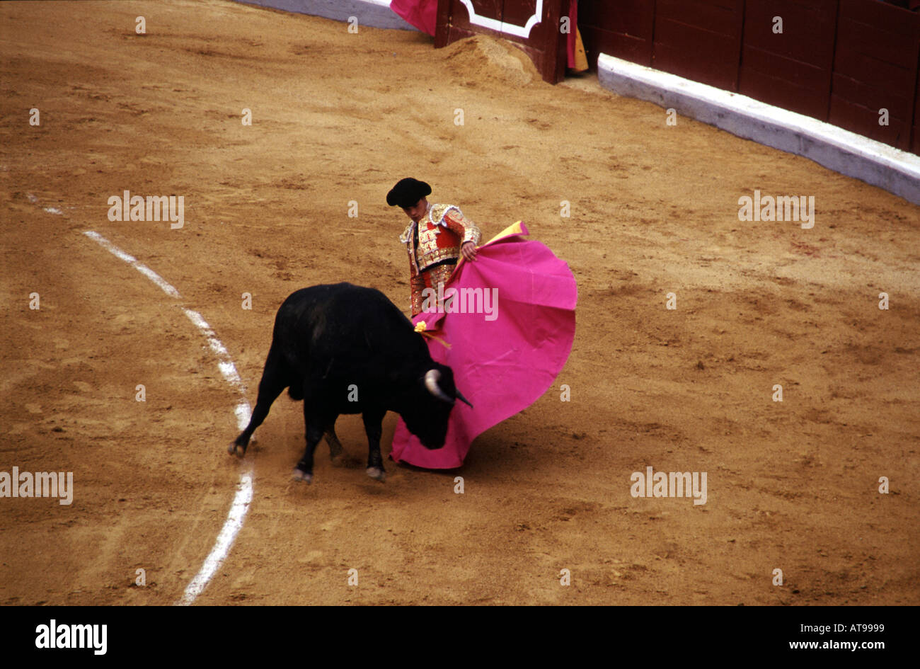 Stierkampf in der Plaza De Toros De Granada Granada, Spanien Stockfoto