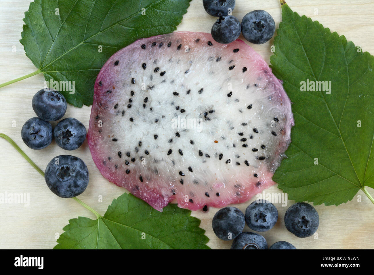 Slice weiß konkretisiert Drachen Frucht kleine schwarze Samen in weißes Fleisch mit Strudeln der helleren weißen Fasern und rosa Rand Stockfoto