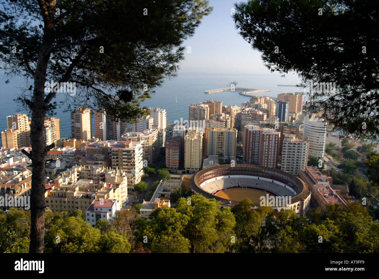 Spanien Malaga Stierkampf Ring Plaza de Toros Stockfoto