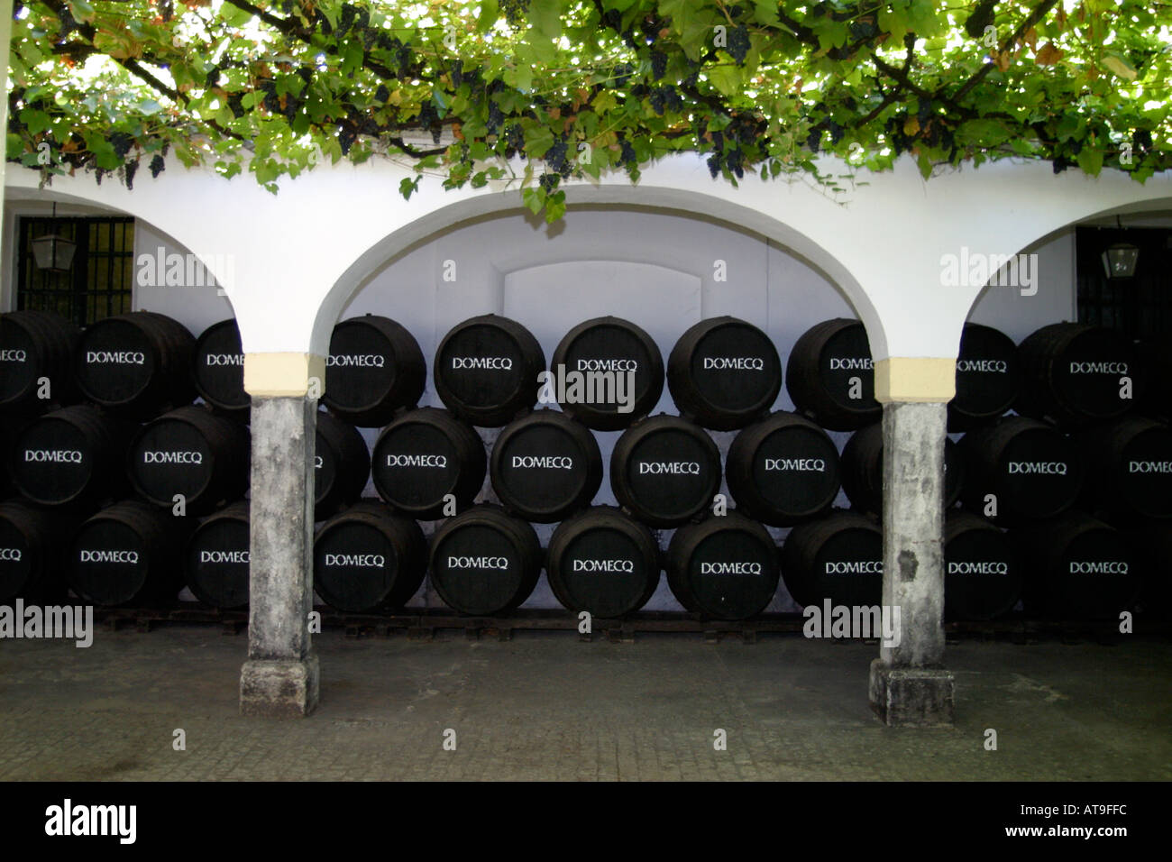 Jerez De La Frontera Sherry Destillerie Domecq Patio mit hölzernen barrals Stockfoto