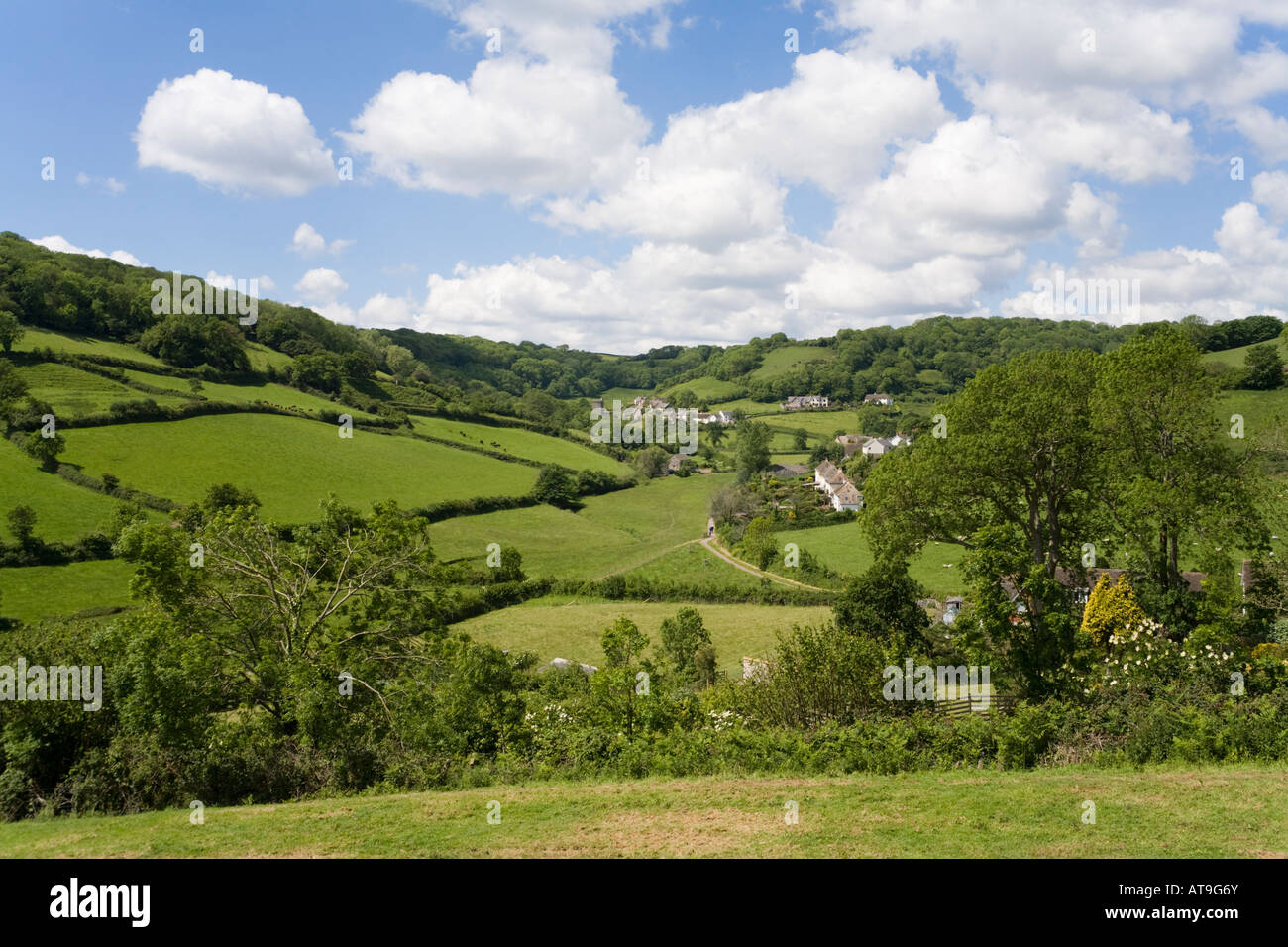 Landschaft führenden rollten in Richtung Meer bei Branscombe Devon Stockfoto