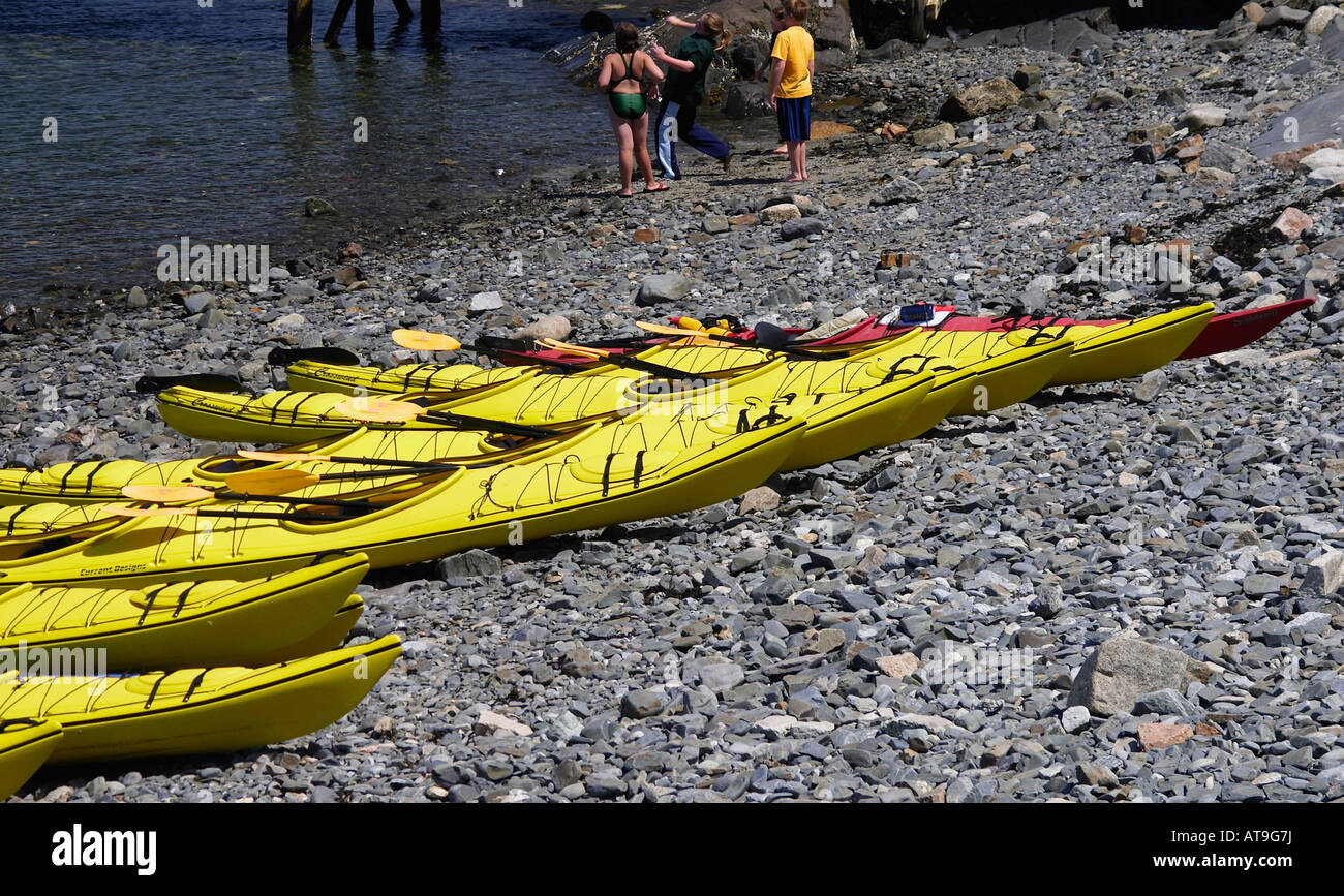 Seekajaks aufgereiht am Strand auf Franzose s Bay Bar Harbor, Maine Stockfoto