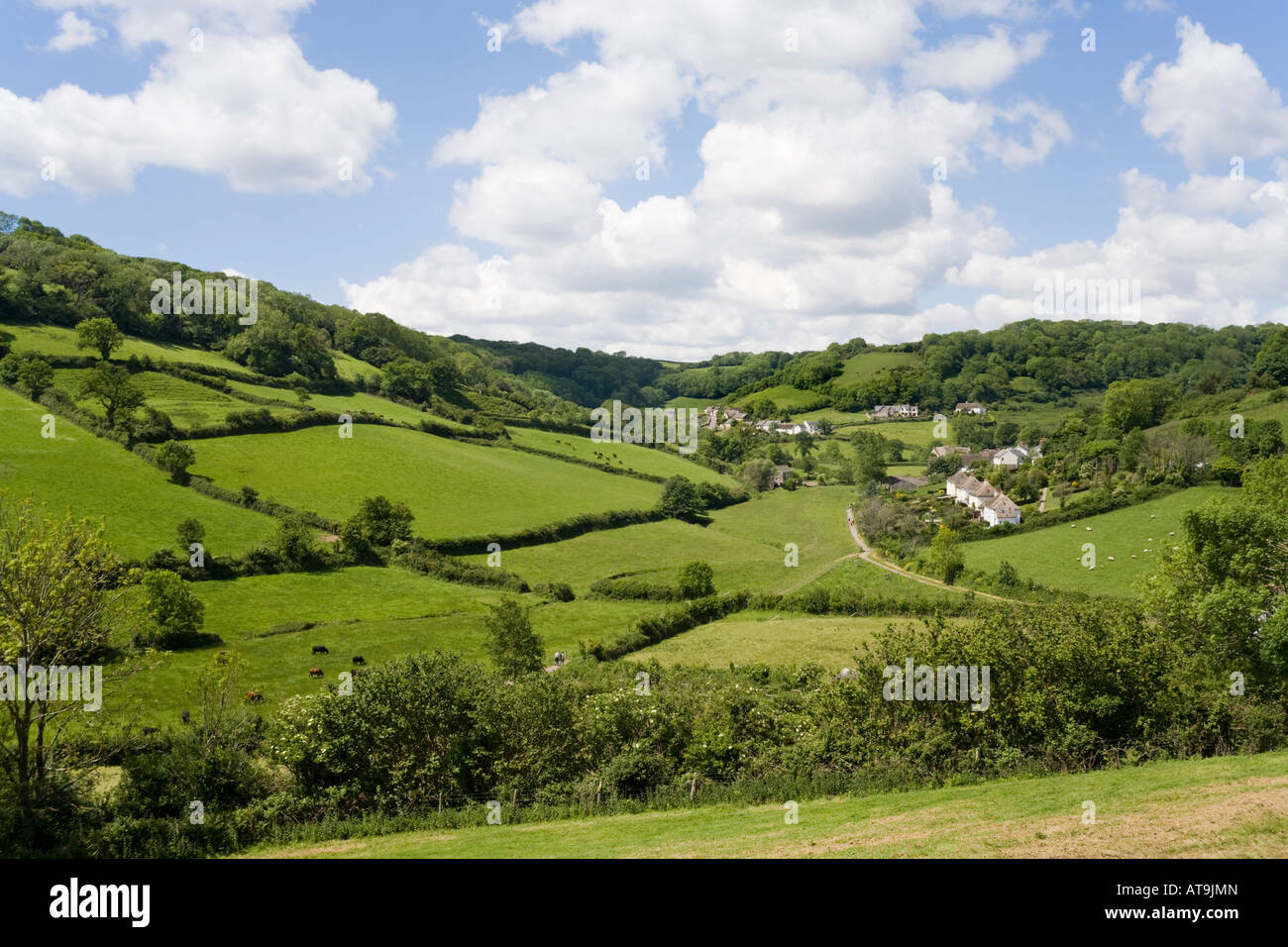 Das Dorf Branscombe, Devon an der Spitze seiner Tal hinunter zum Meer Stockfoto