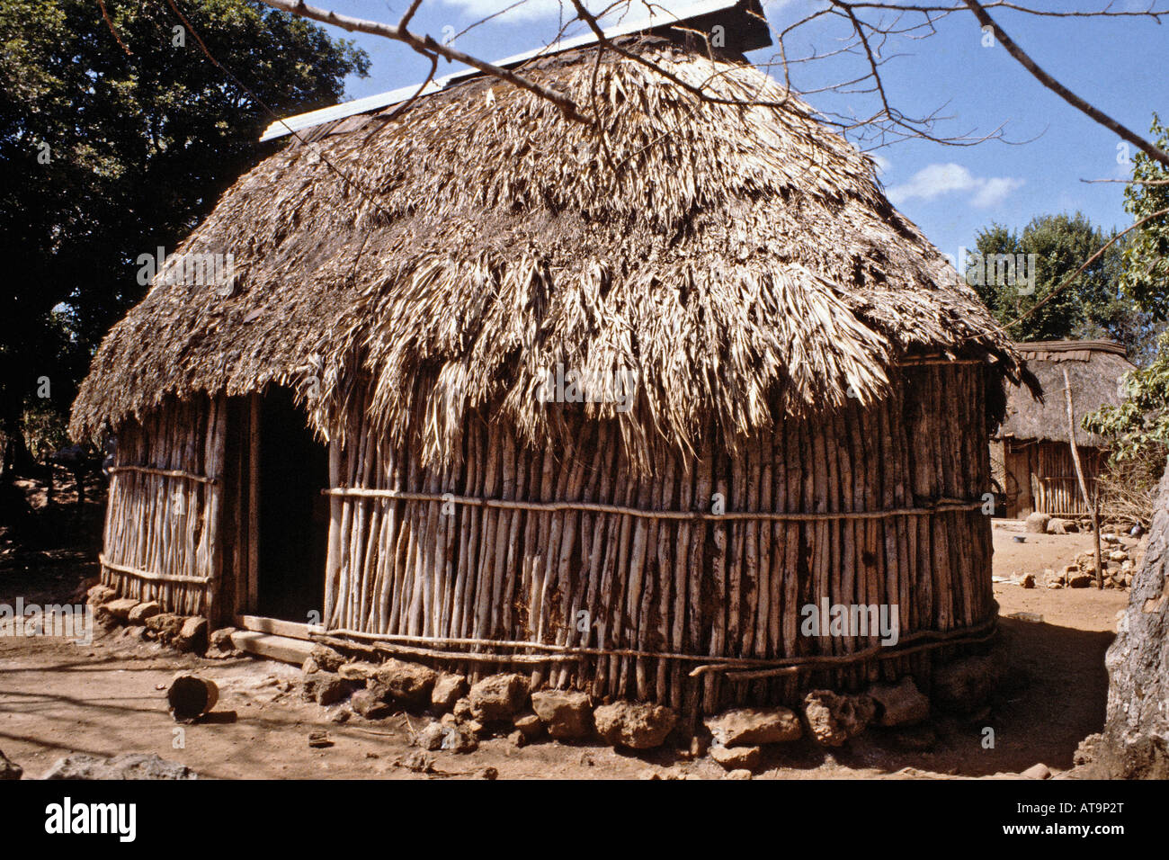 Maya-strohgedeckte Hütte in einem ländlichen Teil von Yucatan Mexiko Stockfoto