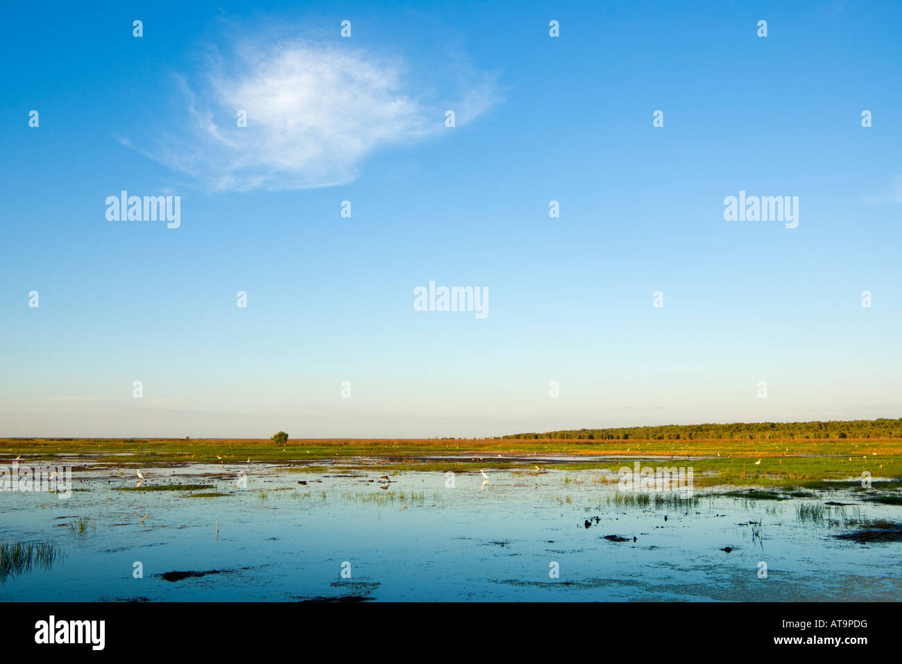 Fogg Dam Stockfoto