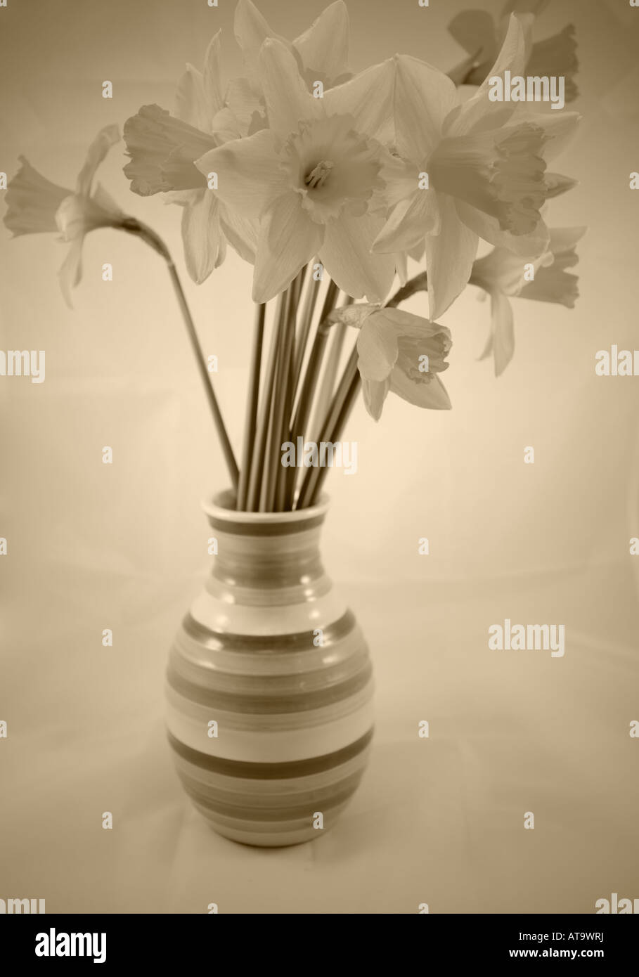 Altmodische Stil Blume in Vase. Stockfoto