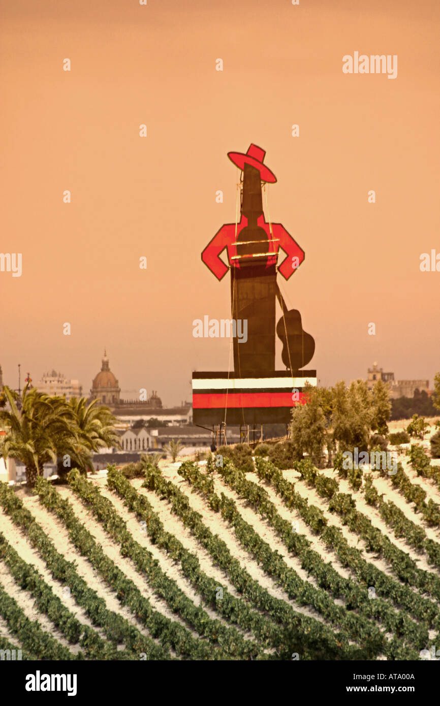 Spanien Andaulusia Jerez De La Frontera Tio Pepe Sherry Wein Felder Stockfoto