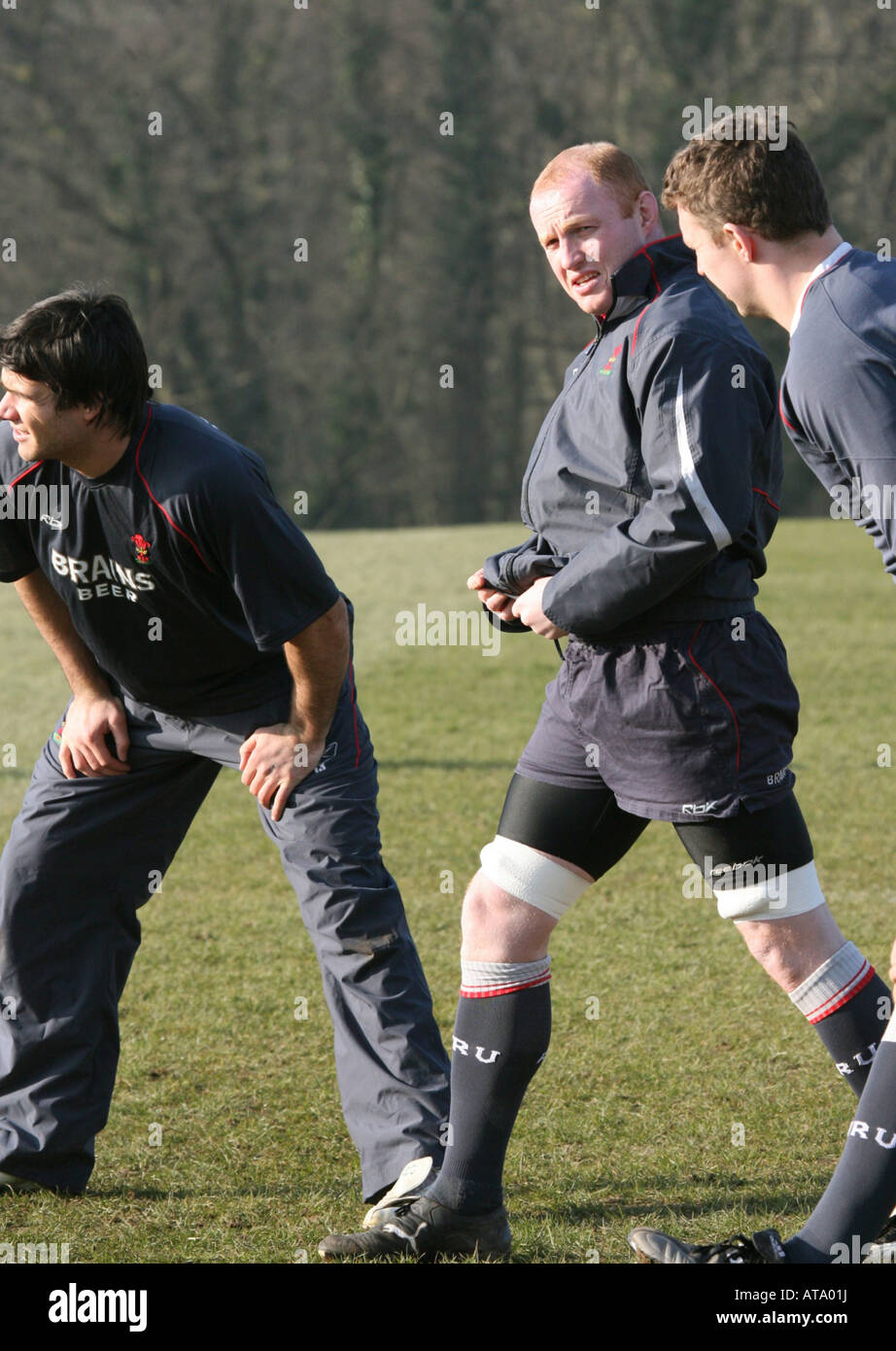 Walisischen Rugby Union Training Boden Hensol Vale von Glamorgan South Wales GB UK 2008 Stockfoto