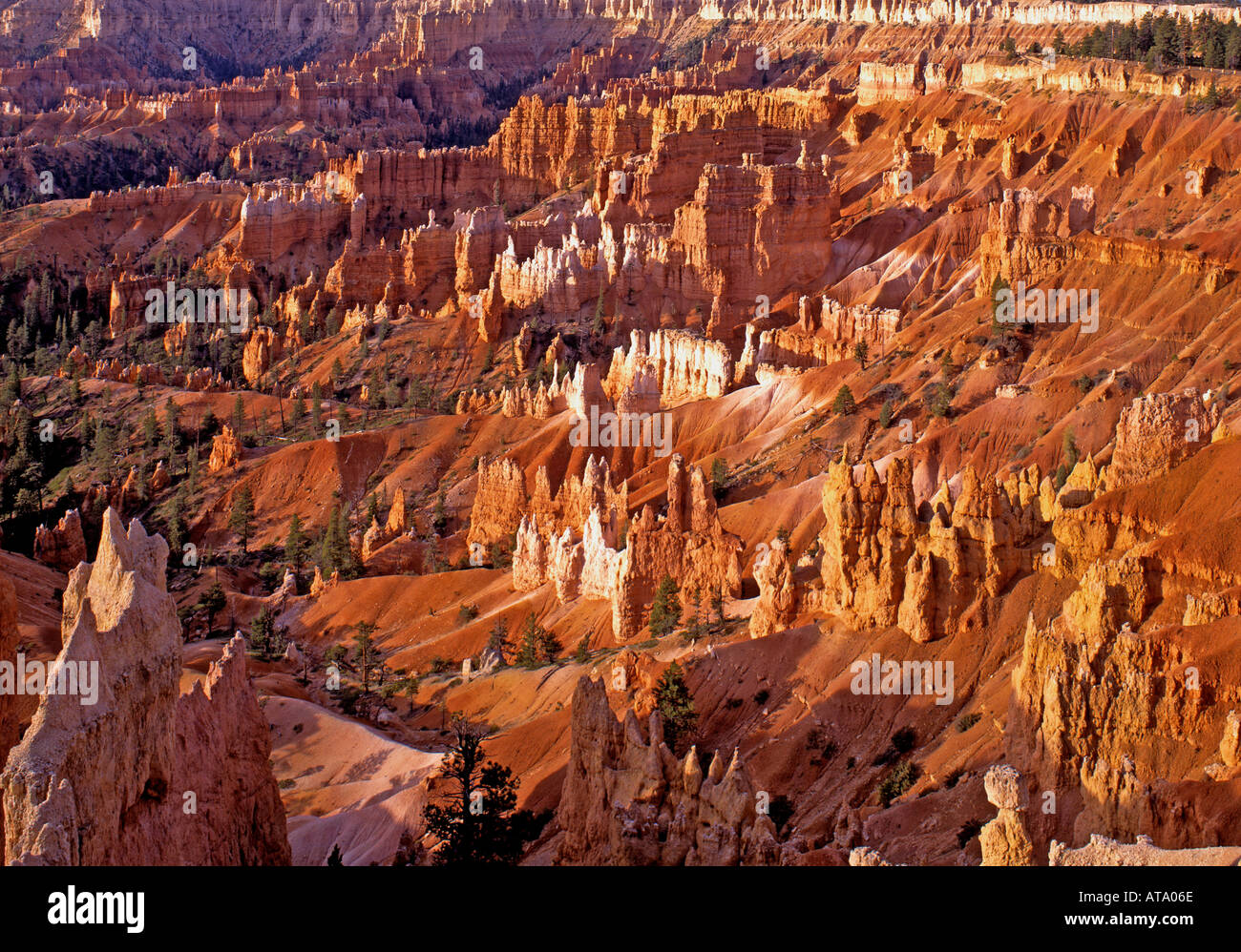 USA Südwesten Utah Bryce Canyon Nationalpark Hoodos rock Säulen Stockfoto