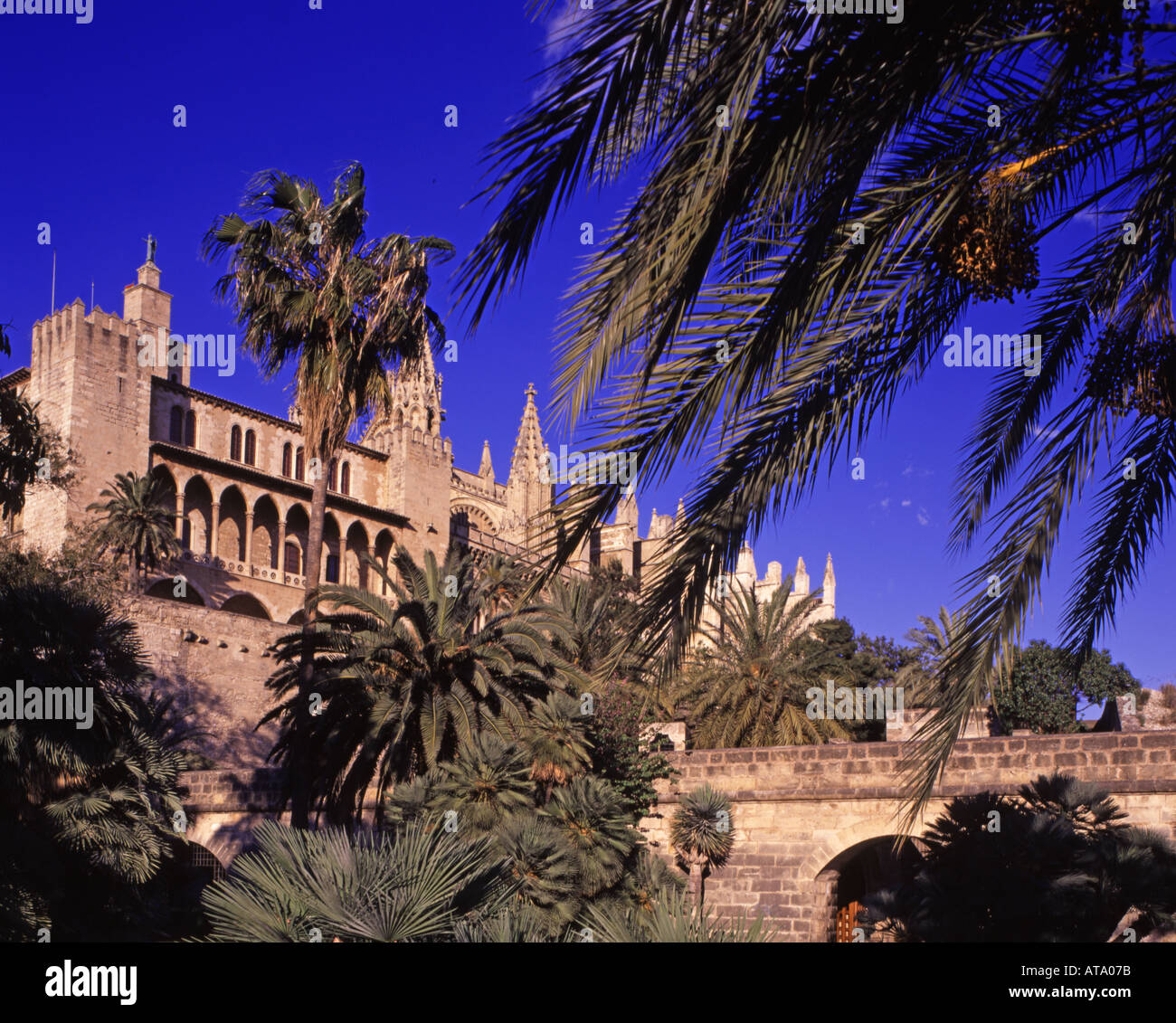 Spanien Mallorca Kathedral-Palmen Stockfoto