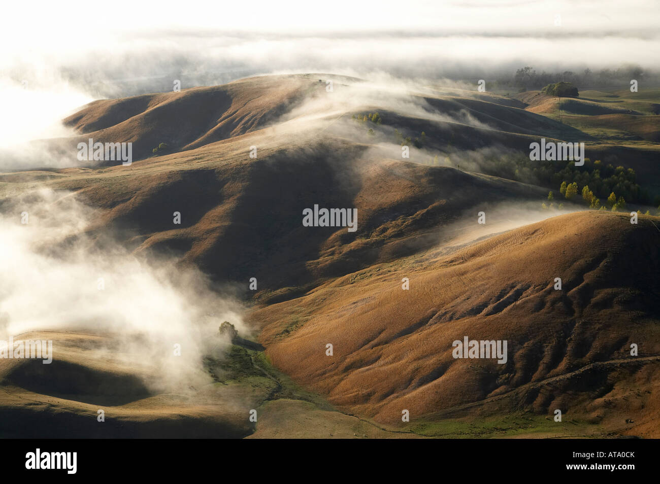 Blick vom Te Mata Peak und frühen Morgen Nebel Hawkes Bay Nordinsel Neuseeland Stockfoto