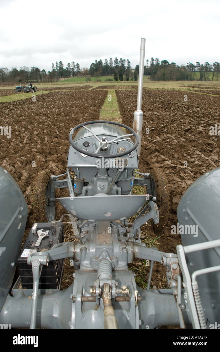 Massey Ferguson MF 35 FE35 Traktor 1955 (USA) 1956 (UK), wurde zu einem der beliebtesten Traktoren jemals veröffentlicht und ist heute noch im Einsatz Stockfoto