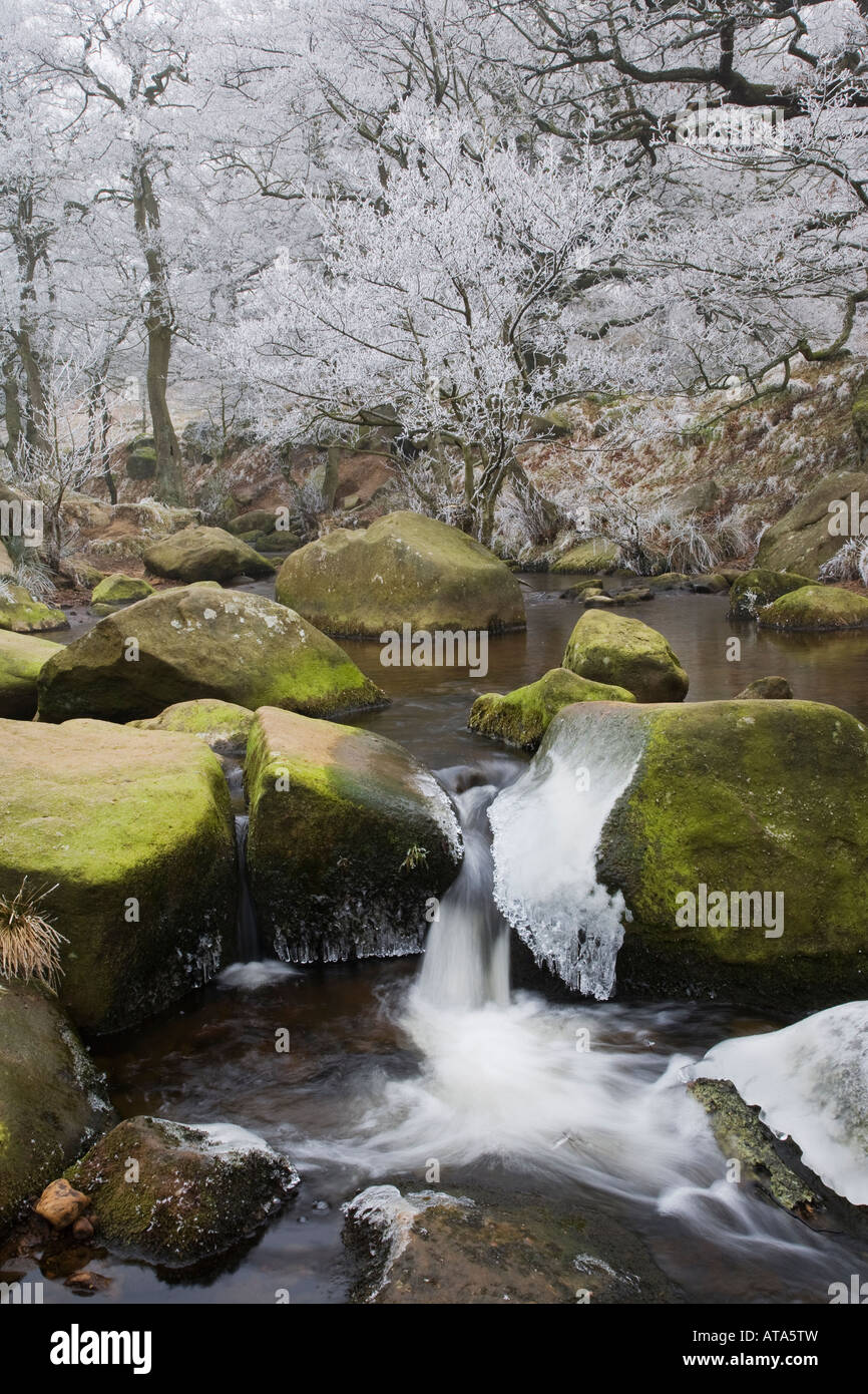 Frostiger Morgen Padley Woods Derbyshire Peak District Stockfoto