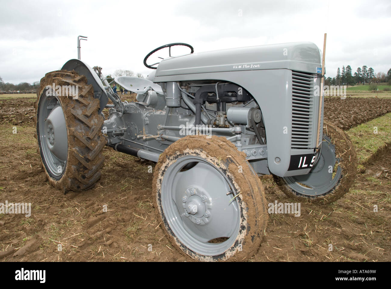 Massey Ferguson MF 35 FE35 Traktor 1955 (USA) 1956 (UK), wurde zu einem der beliebtesten Traktoren jemals veröffentlicht und ist heute noch im Einsatz Stockfoto