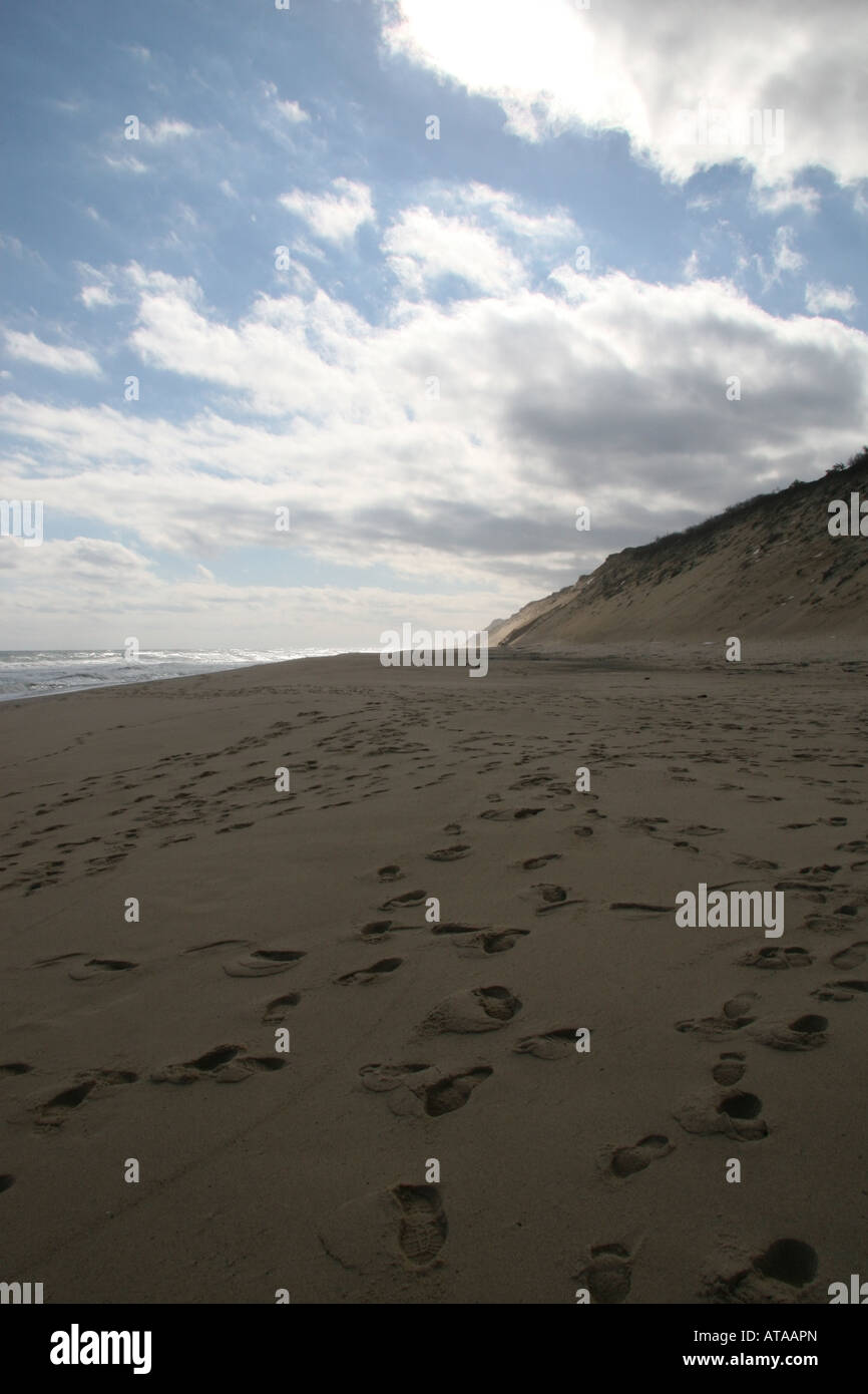 Dramatische Beleuchtung auf Cape Cod National Seashore in Wellfleet, Massachusetts. Stockfoto